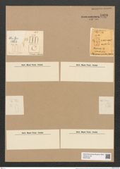 Plagiogramma ornatum Grev. (de-Toni-Nr.: Genus 83, Species 2934) Zeichnungen Sammlung Grunow Nr. 5929 (NHMW-BOT-W0374395)